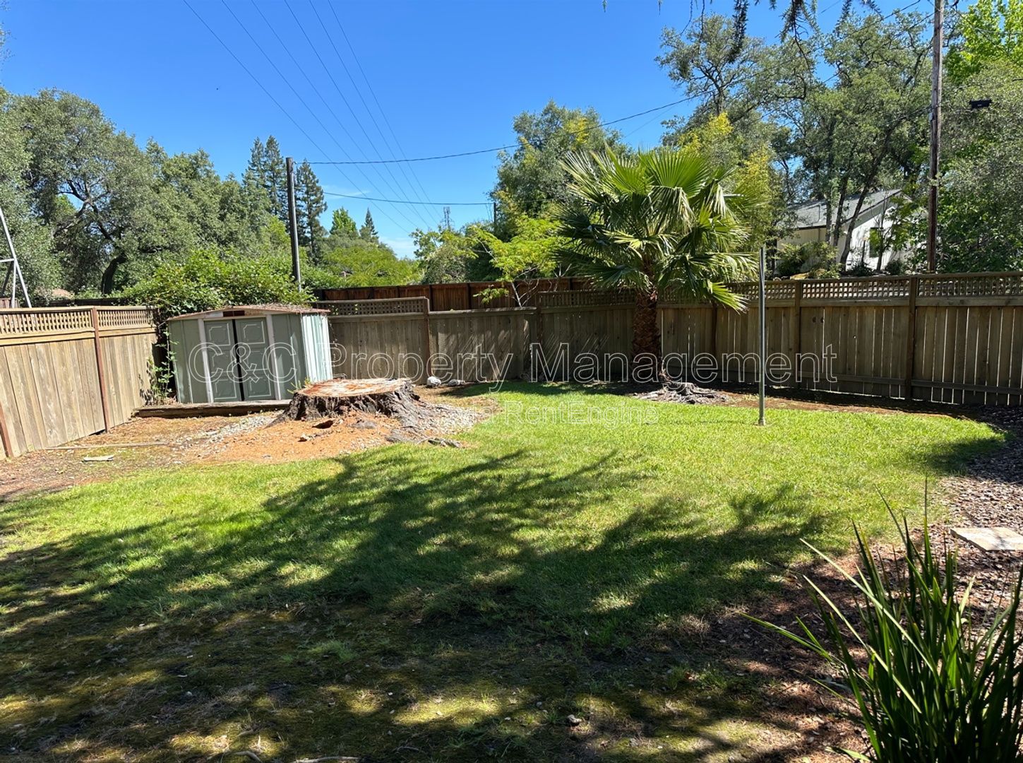 Gallery Image 15