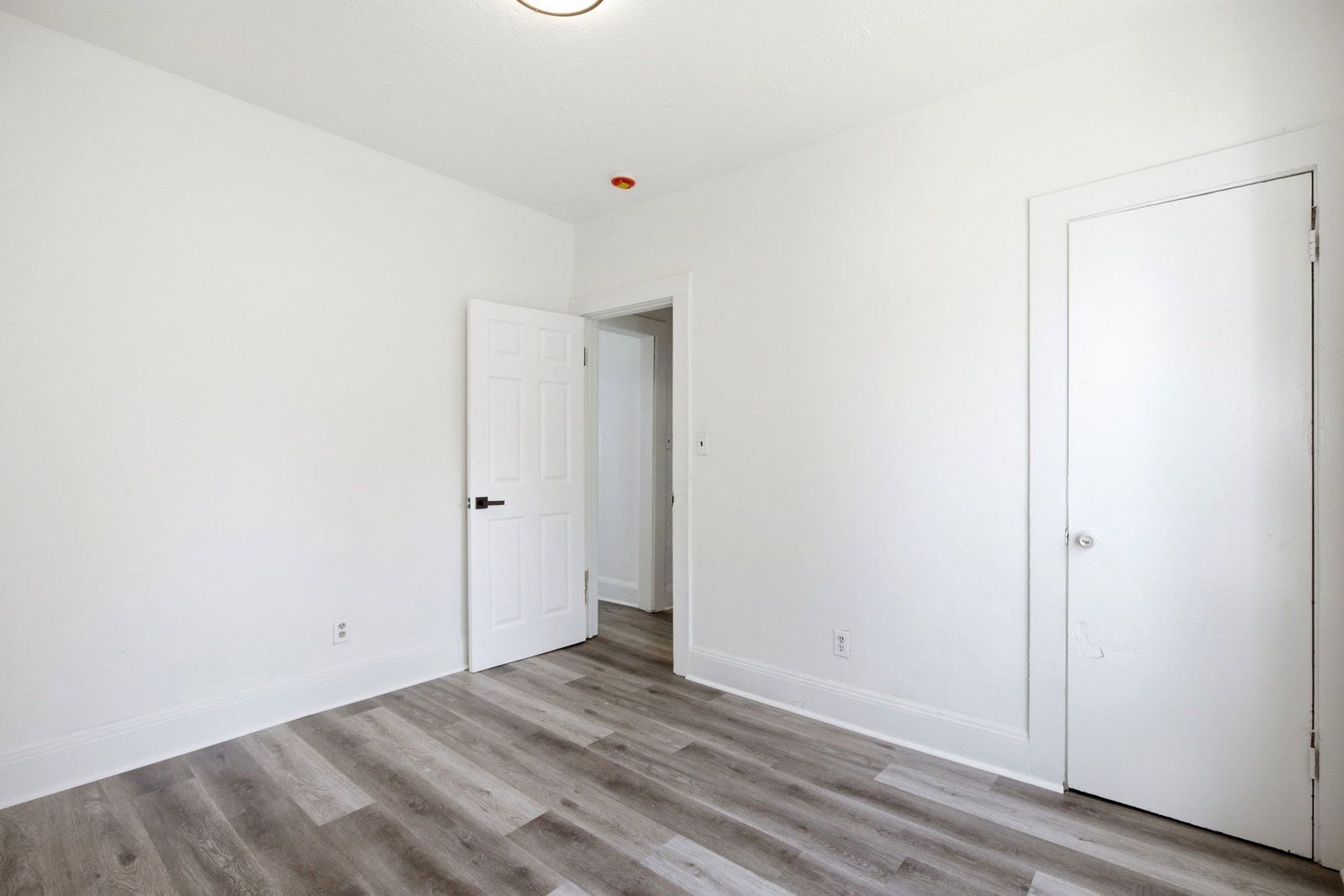 Gallery Image 11