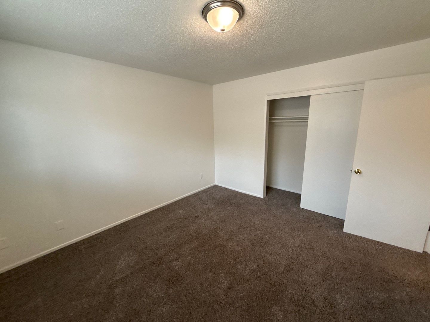 Gallery Image 20