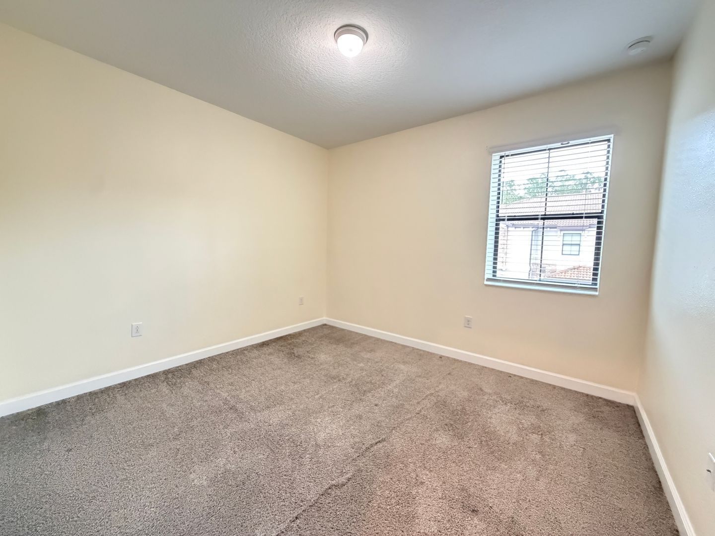 Gallery Image 20