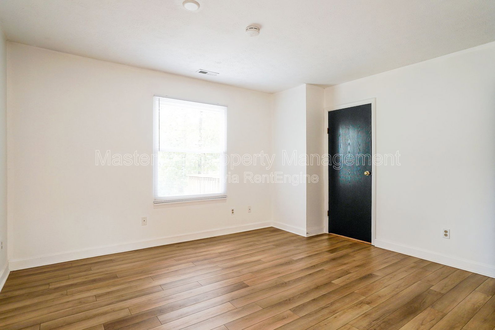 Gallery Image 19