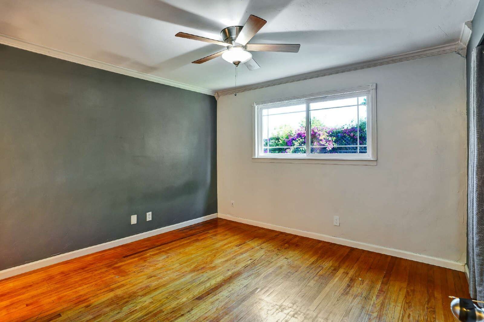 Gallery Image 19