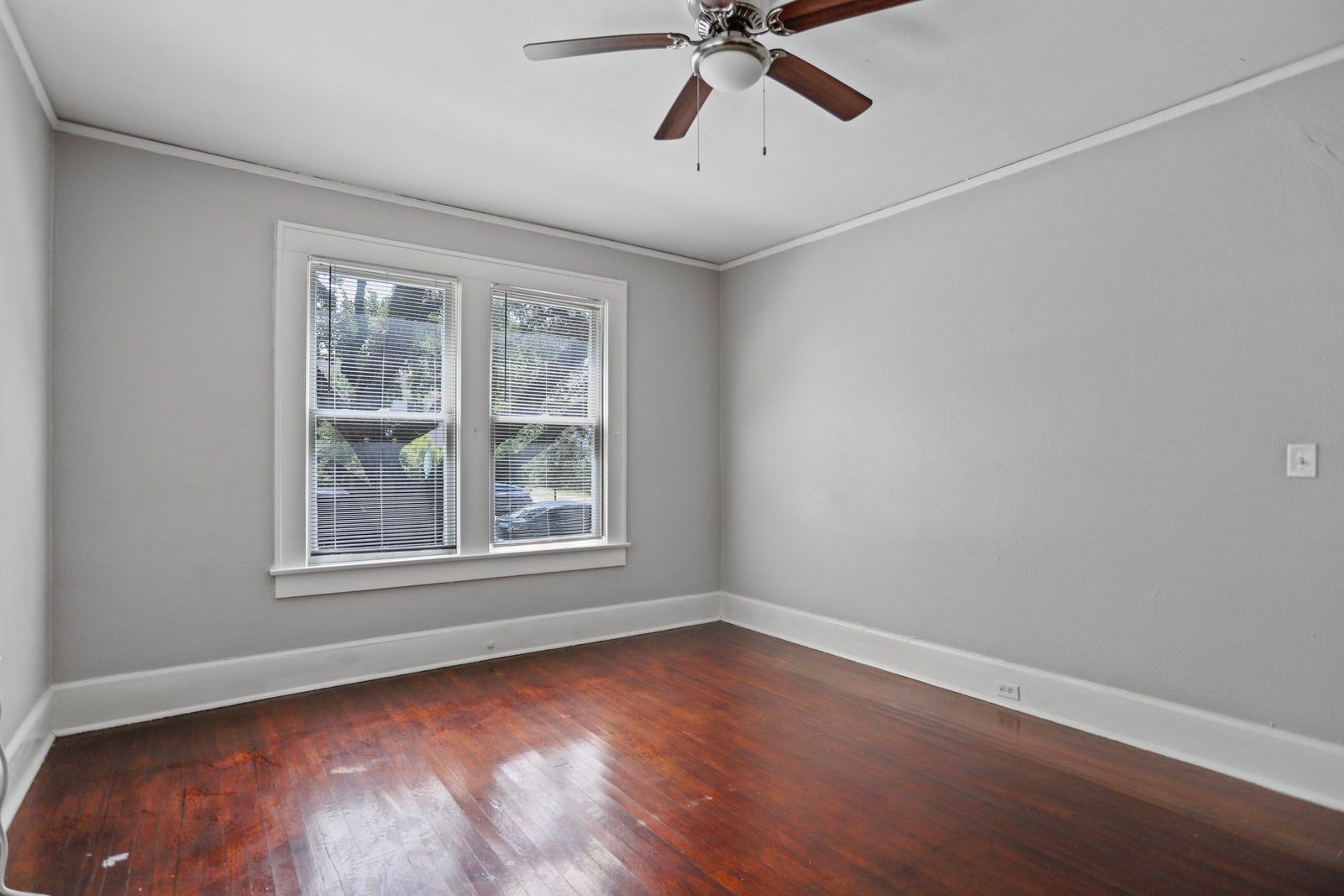 Gallery Image 7