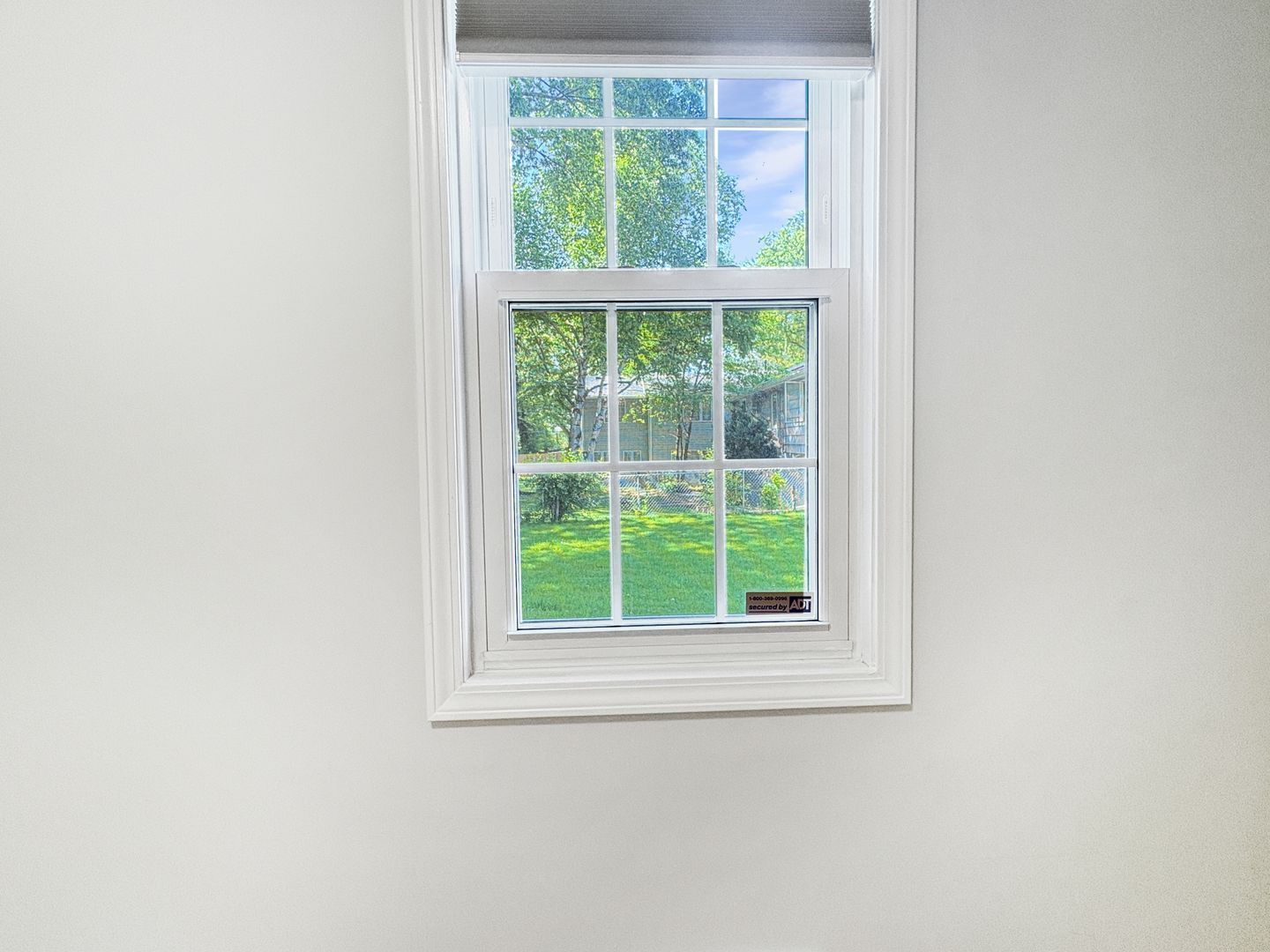 Gallery Image 14