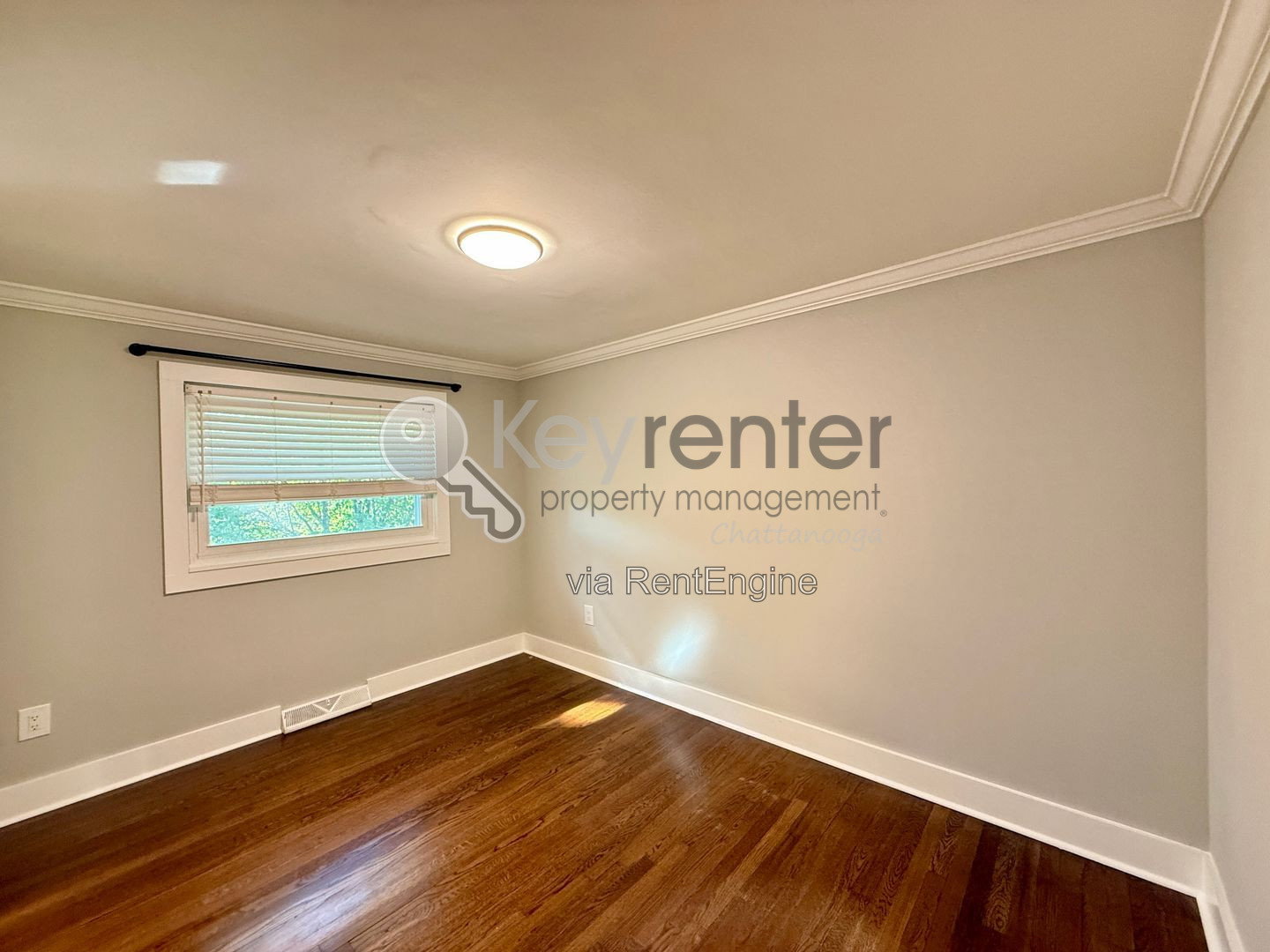 Gallery Image 17