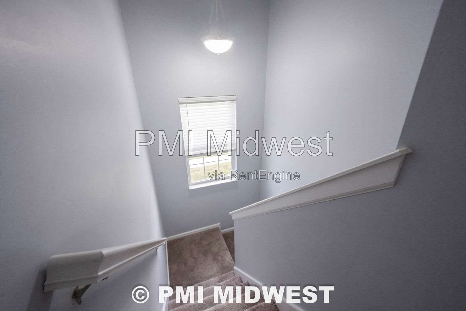 Gallery Image 19