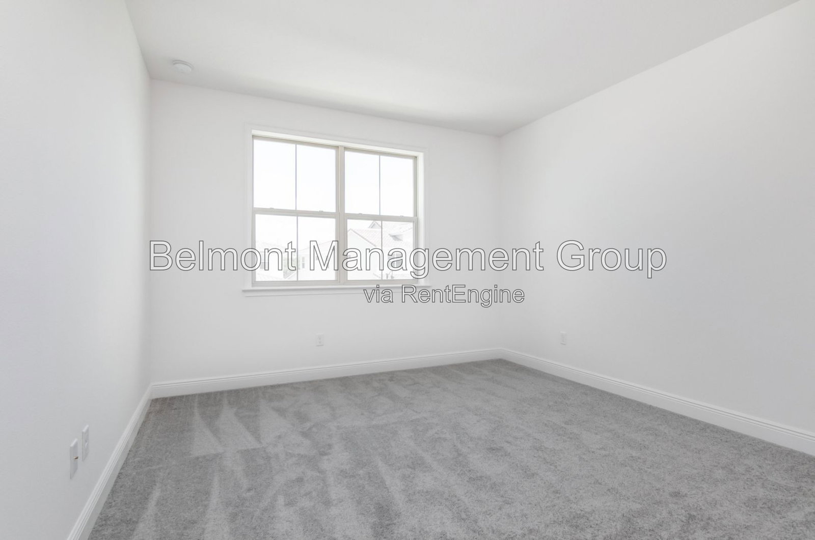Gallery Image 20