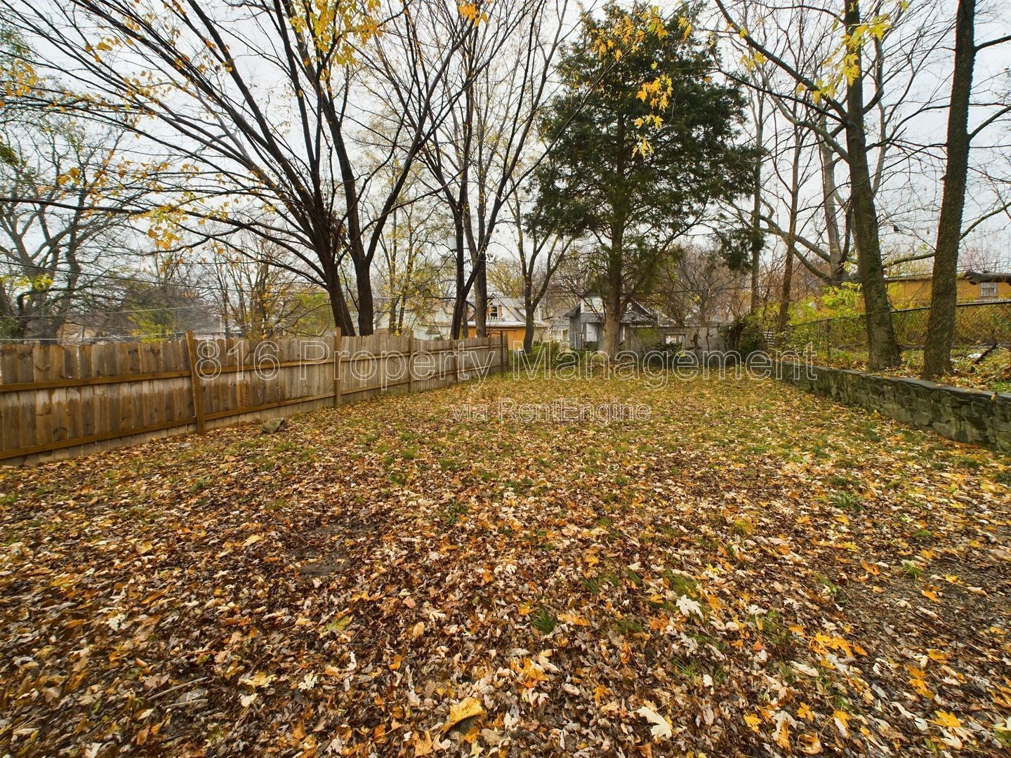 Gallery Image 11