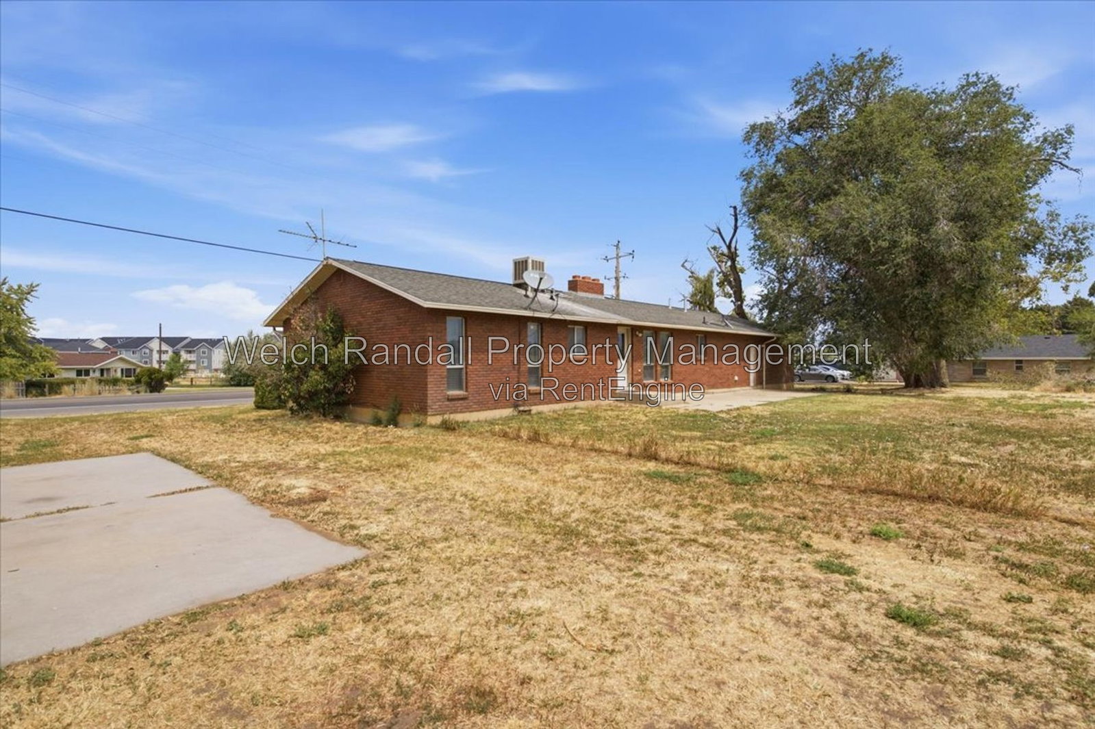 Gallery Image 17