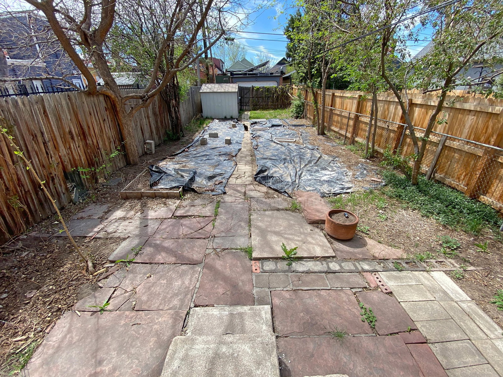 Gallery Image 24