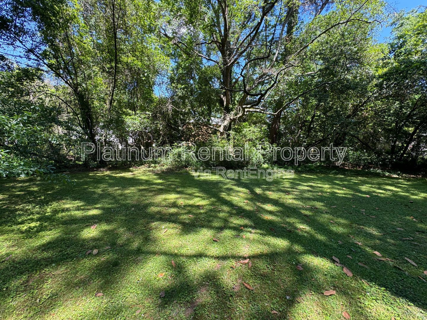 Gallery Image 24