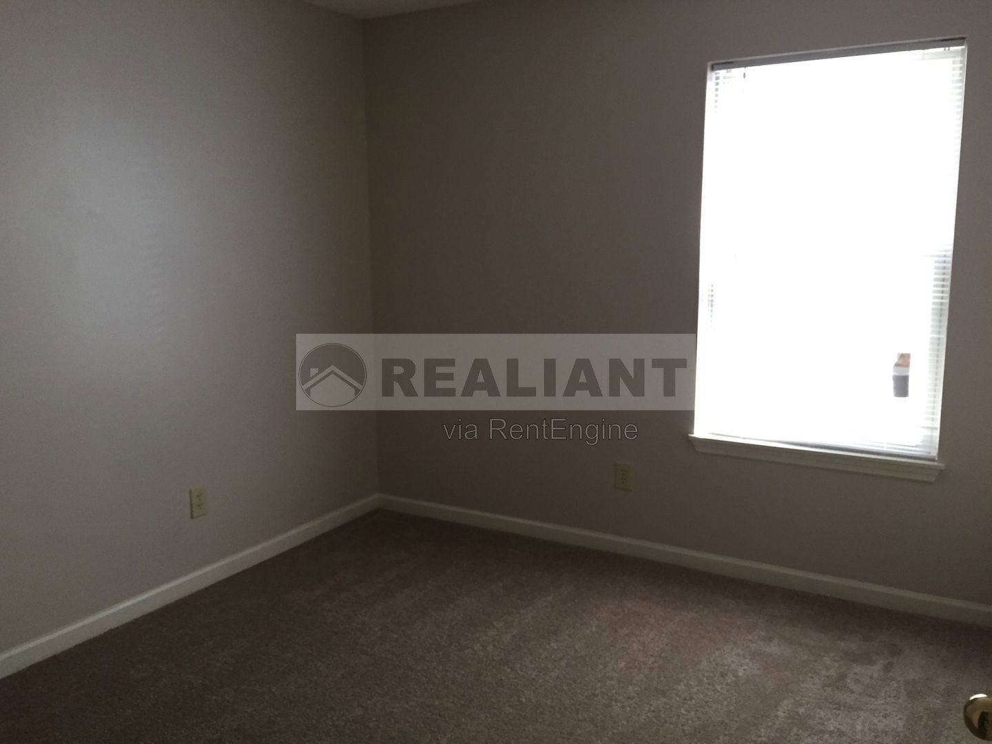 Gallery Image 31