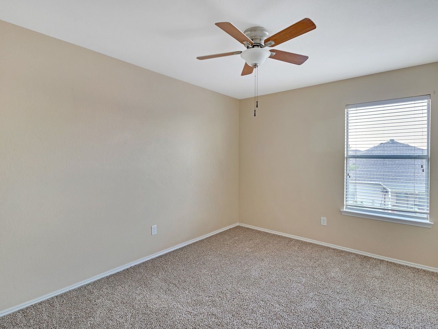 Gallery Image 19