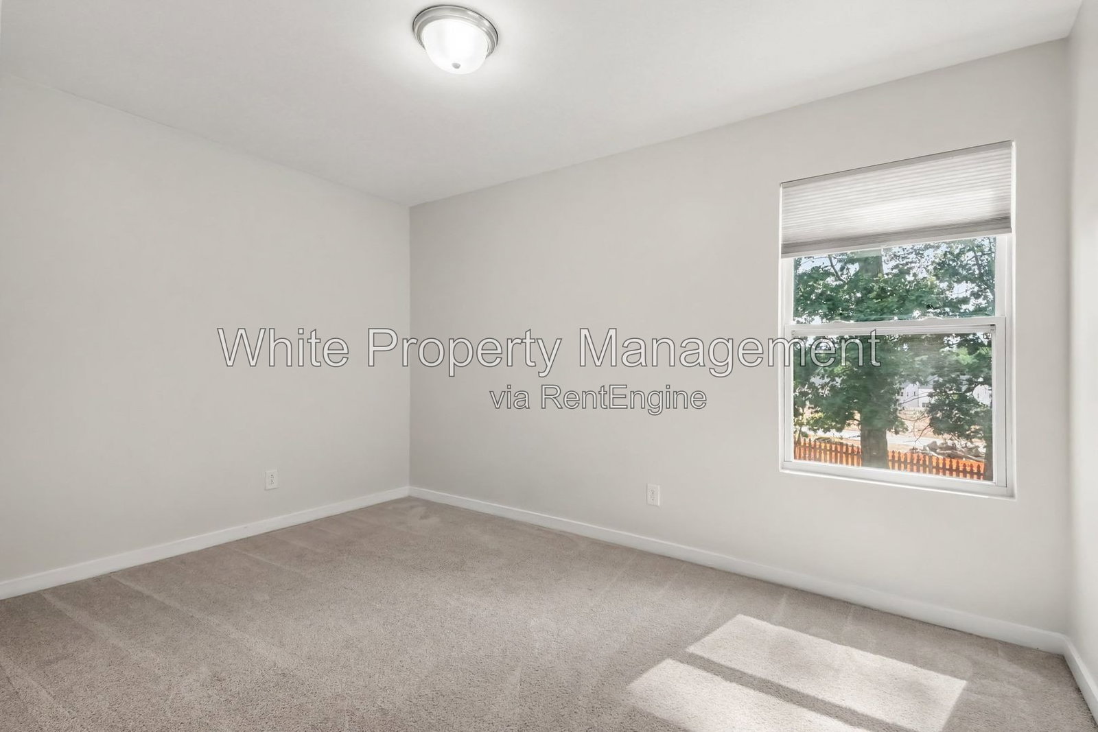 Gallery Image 21