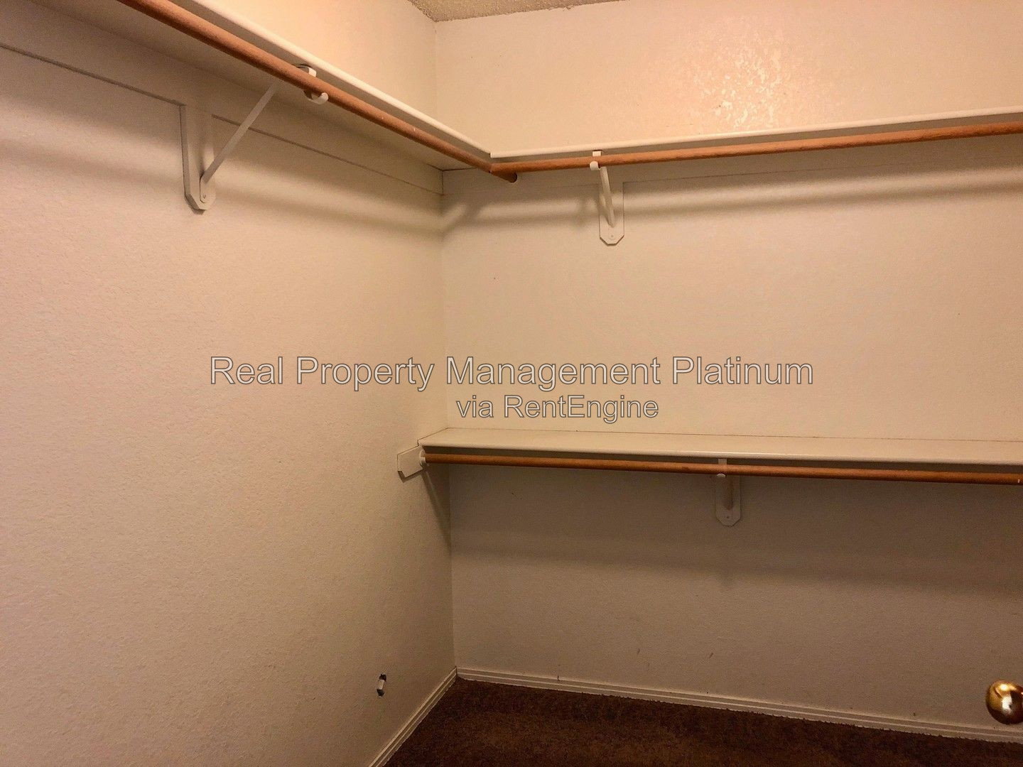 Gallery Image 19