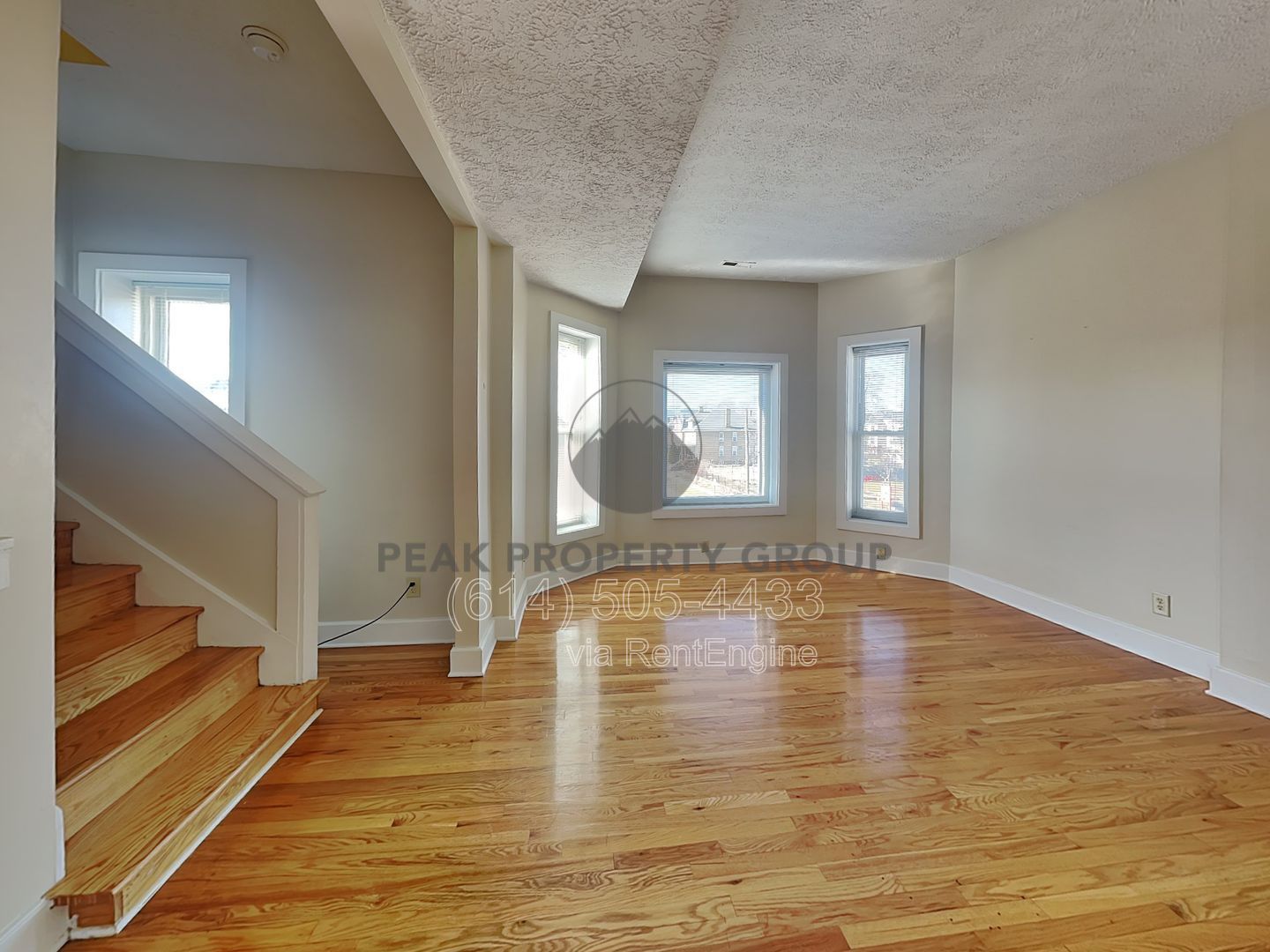 Gallery Image 0