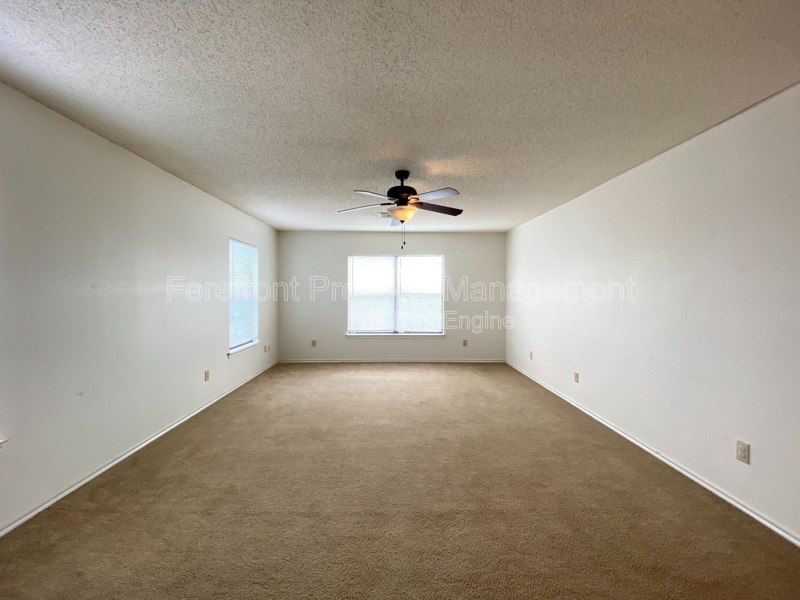 Gallery Image 38