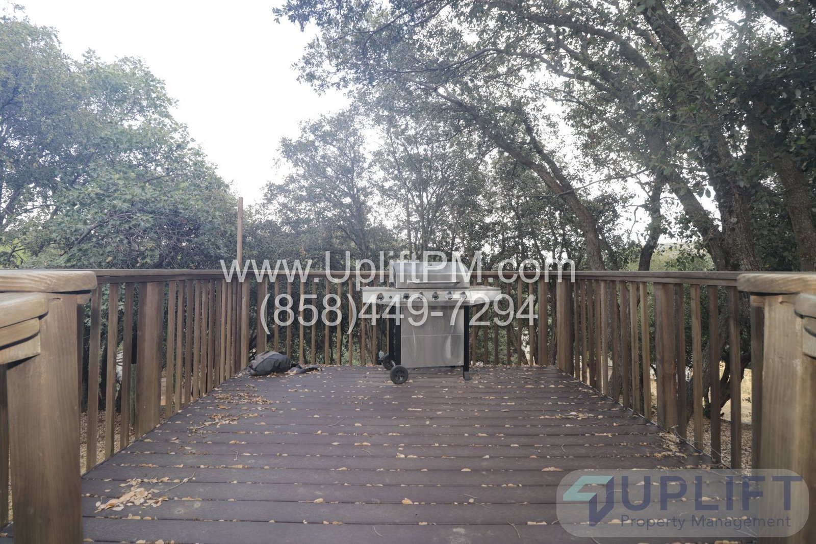 Gallery Image 31