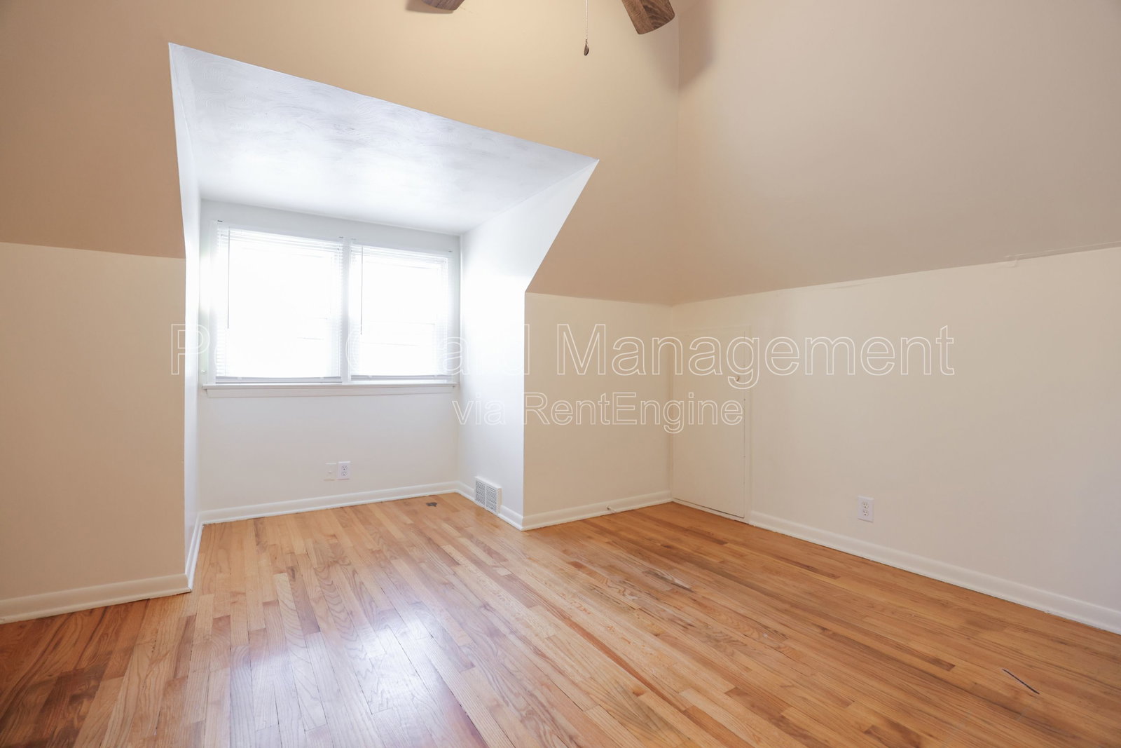 Gallery Image 19