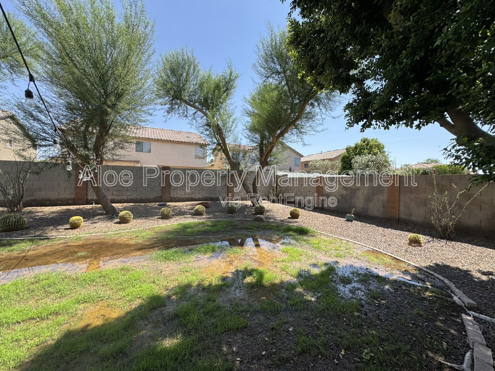 Gallery Image 19