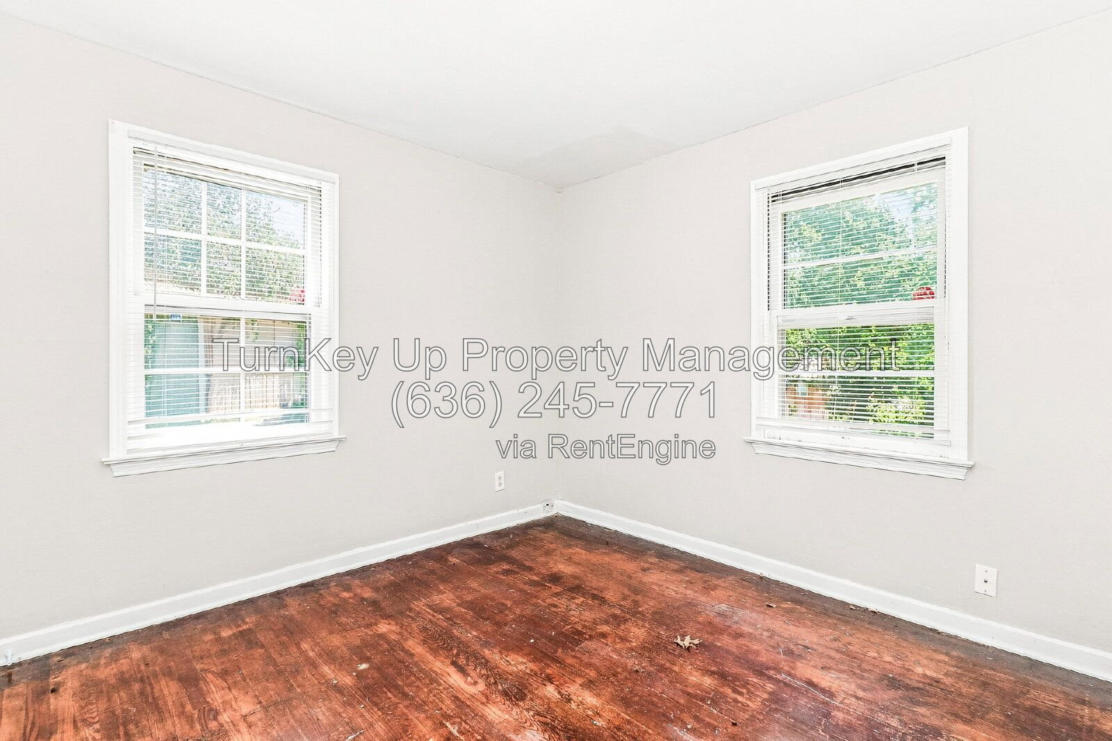 Gallery Image 6
