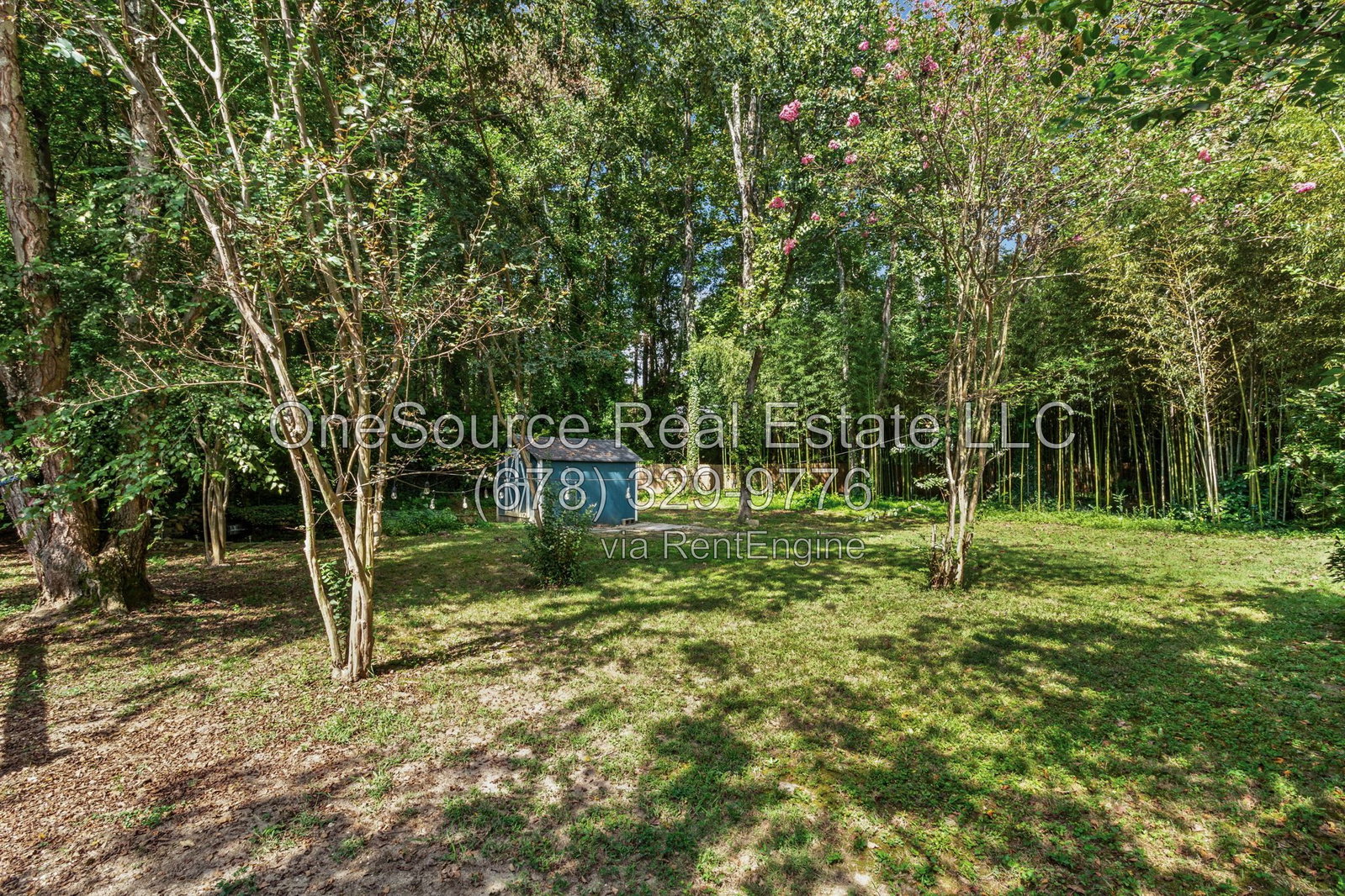 Gallery Image 32