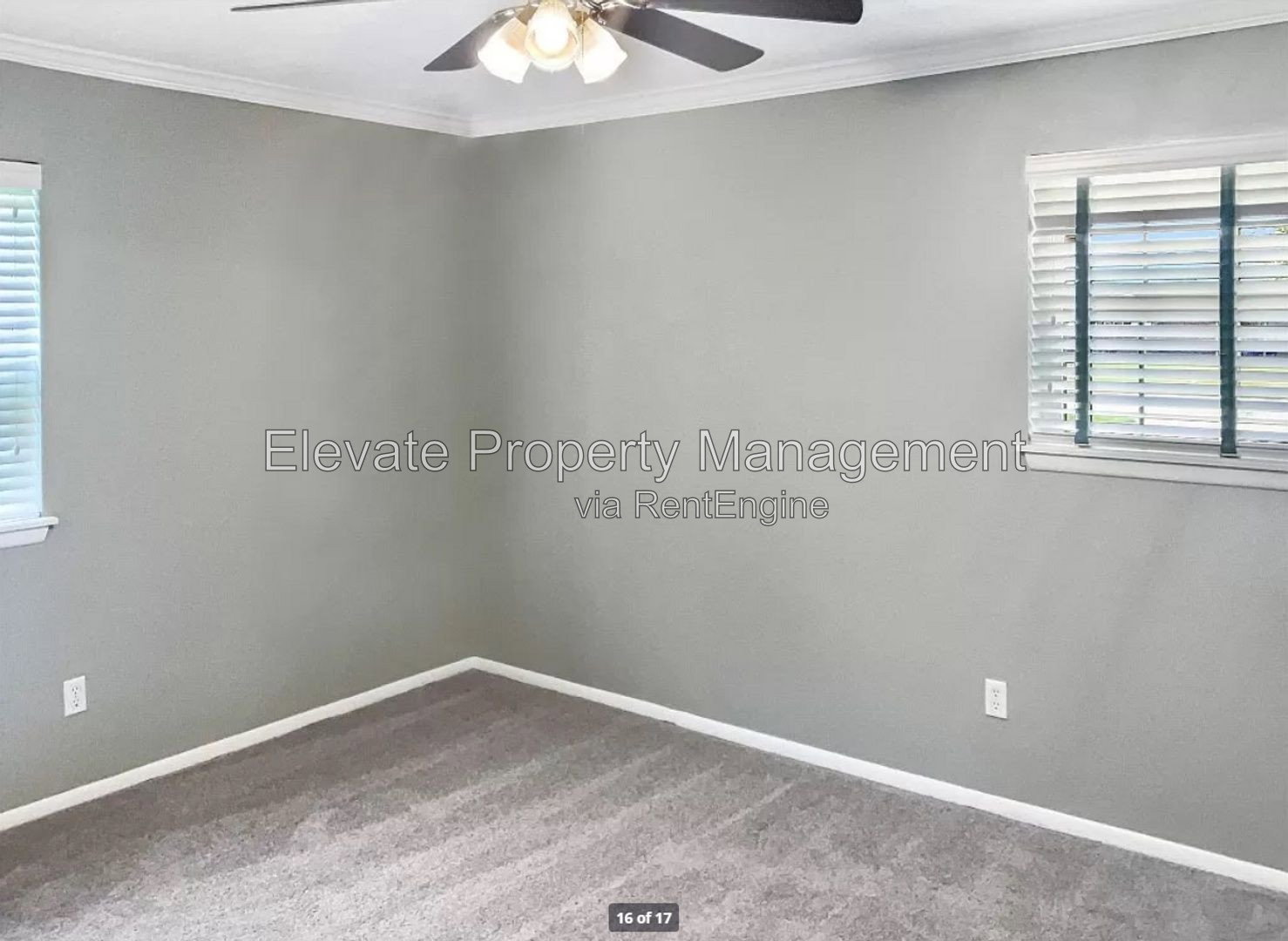 Gallery Image 15