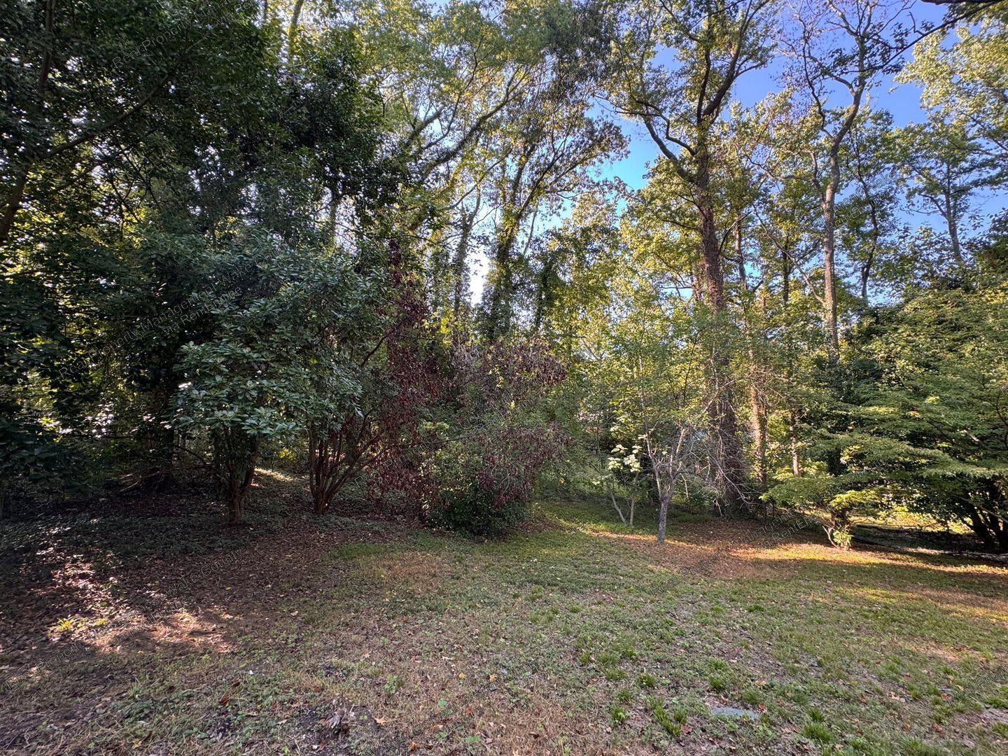 Gallery Image 35