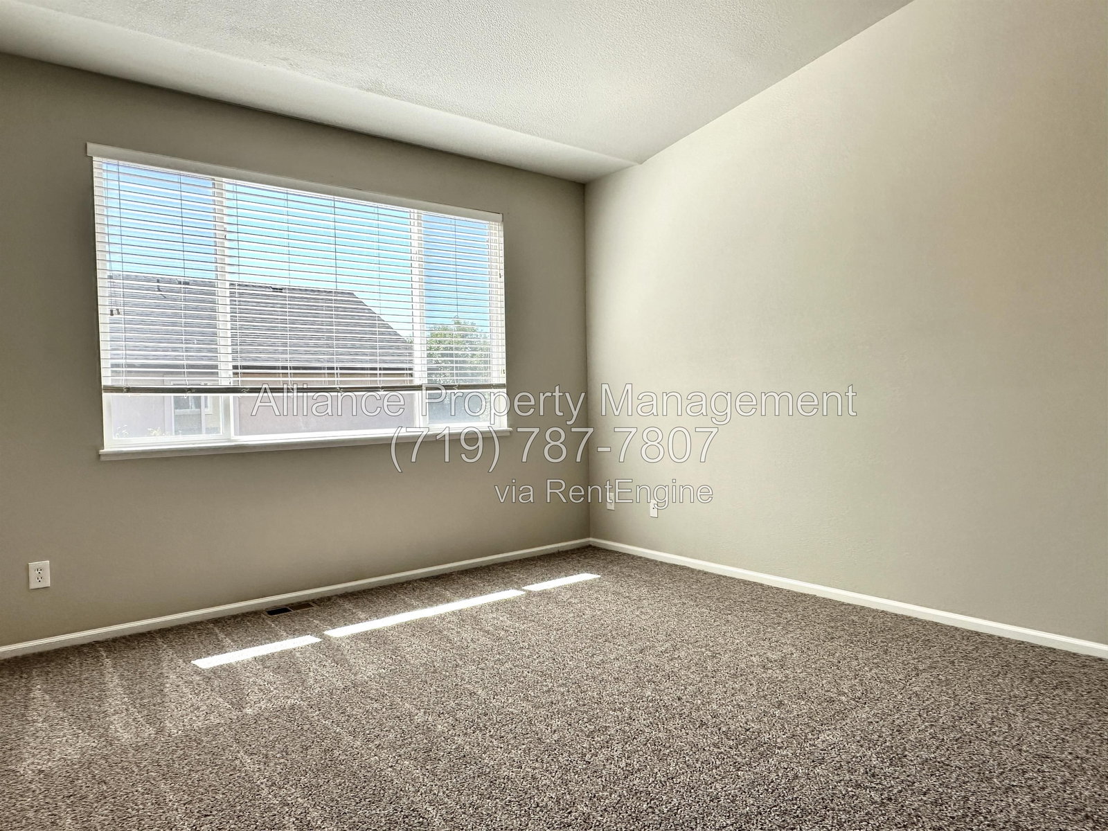Gallery Image 21