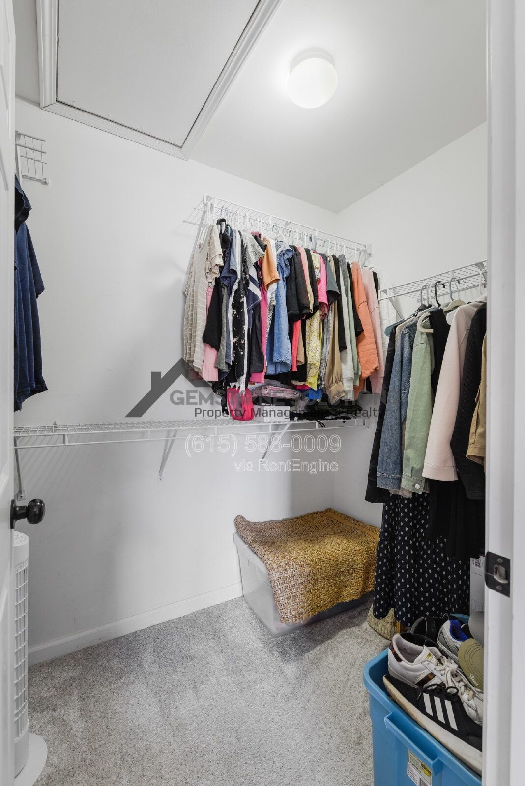 Gallery Image 19