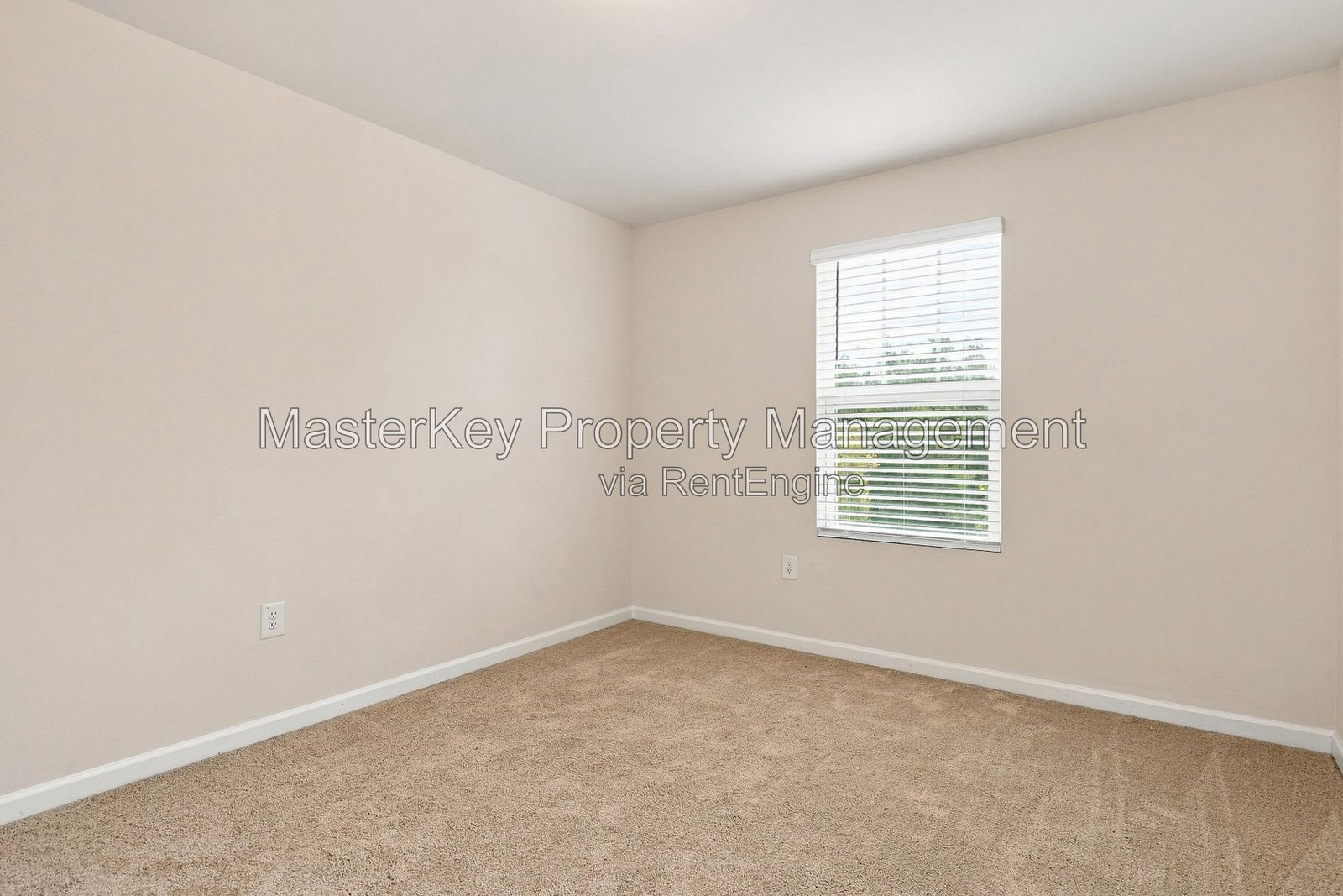 Gallery Image 38