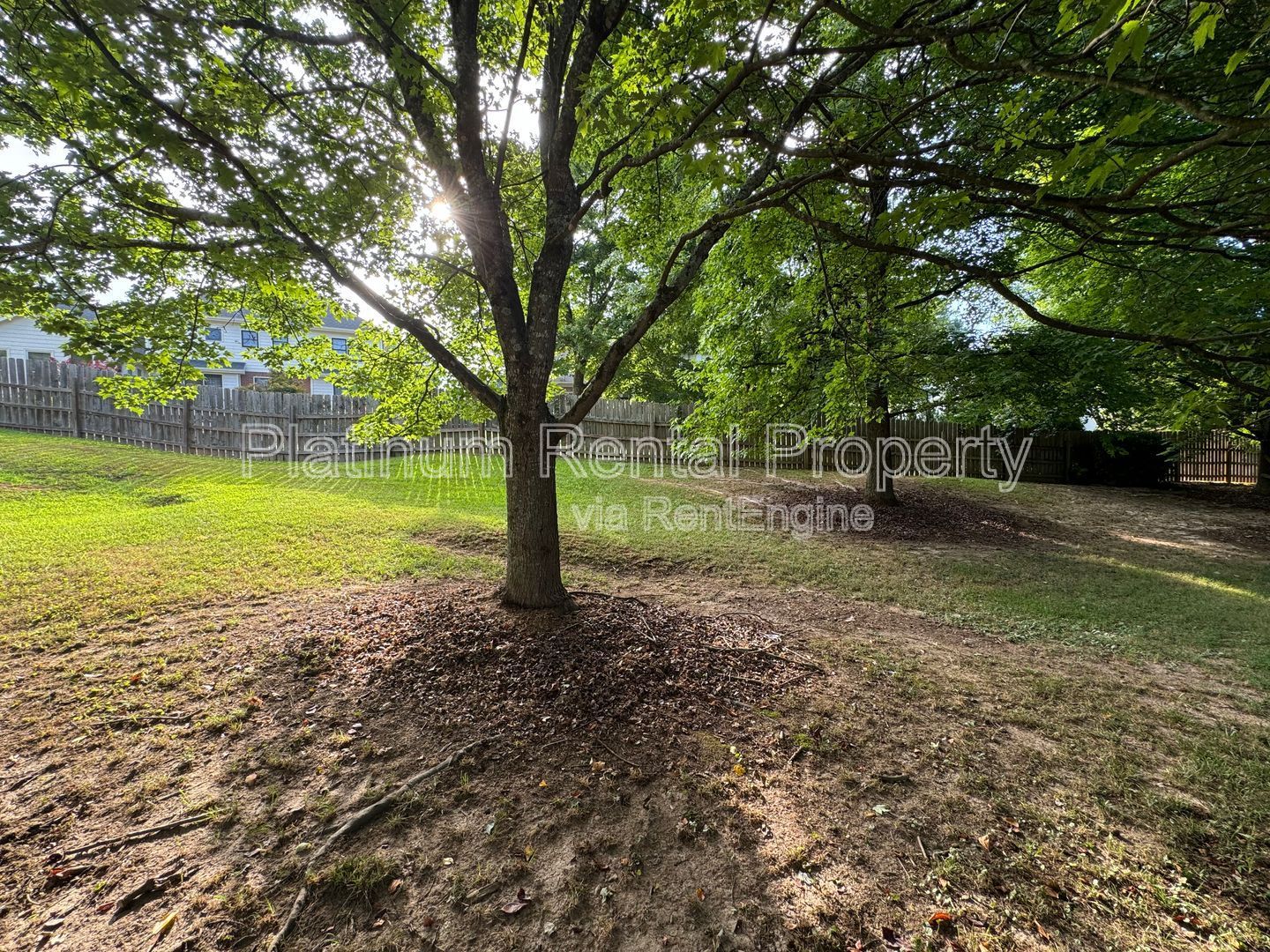 Gallery Image 47
