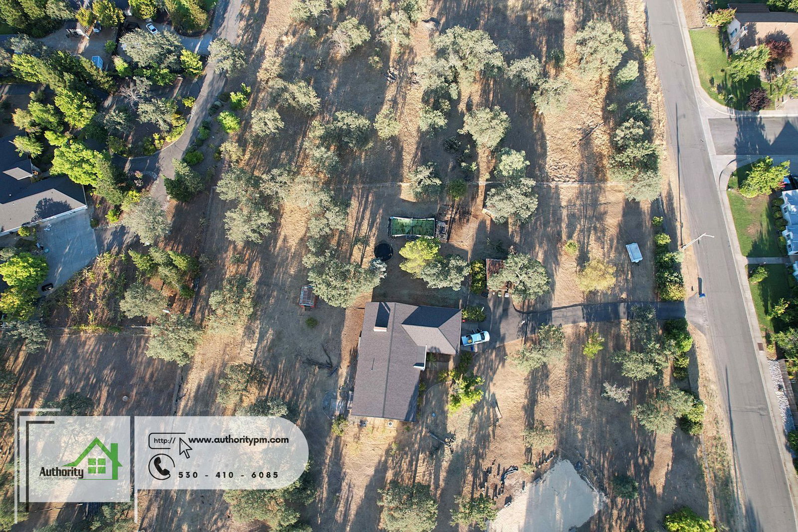 Gallery Image 11