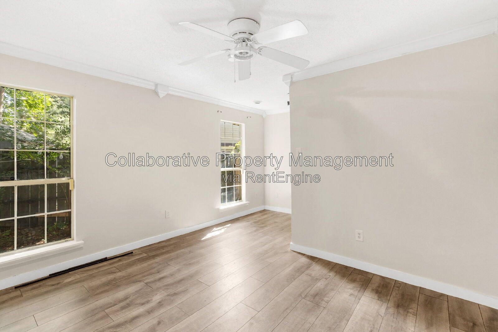 Gallery Image 19
