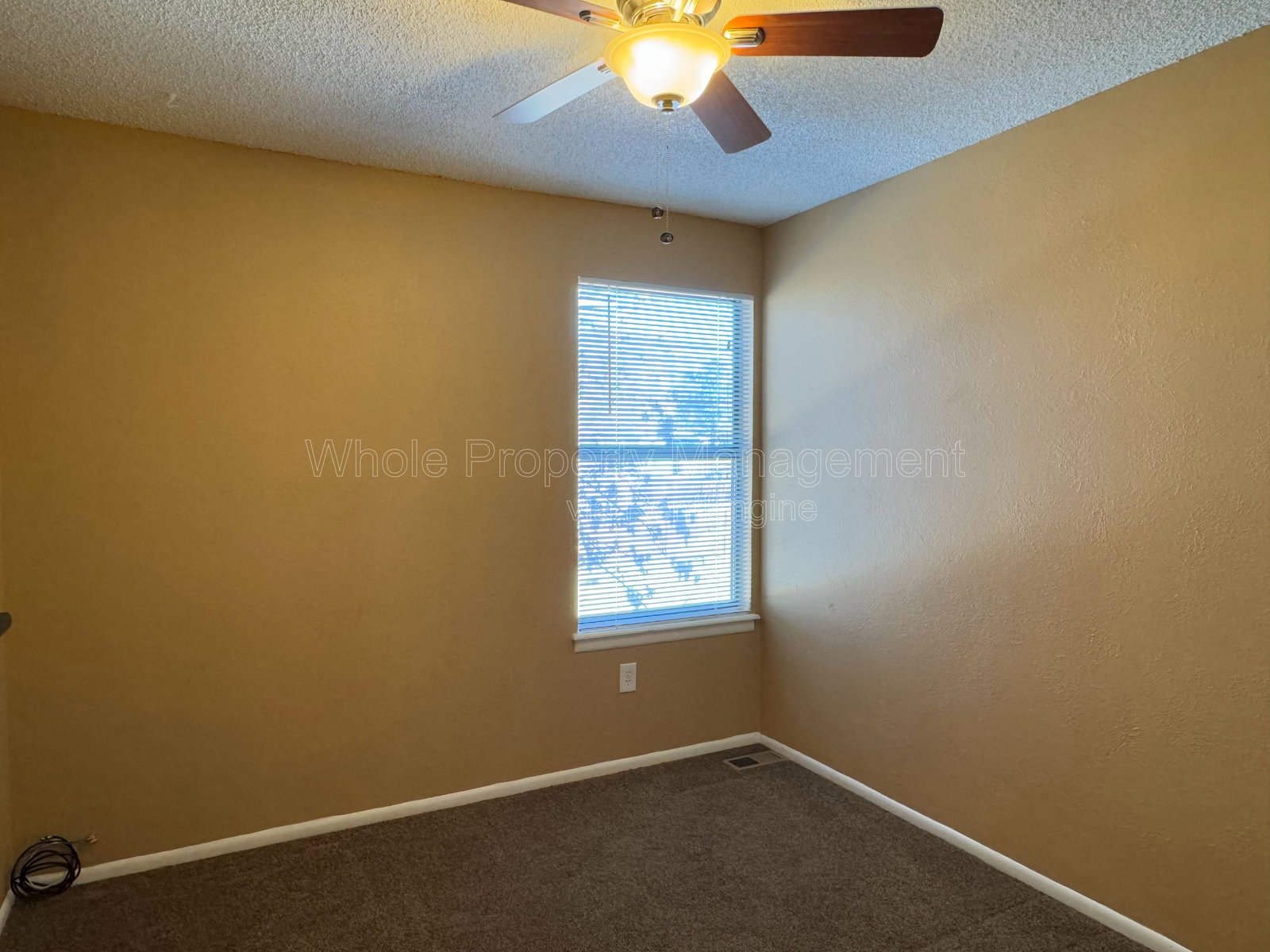 Gallery Image 29