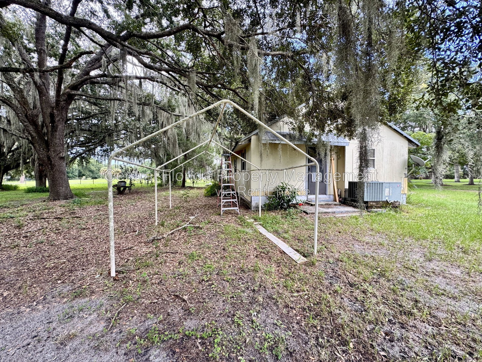 Gallery Image 16