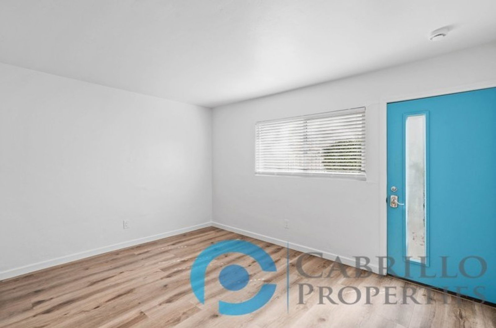 Gallery Image 7