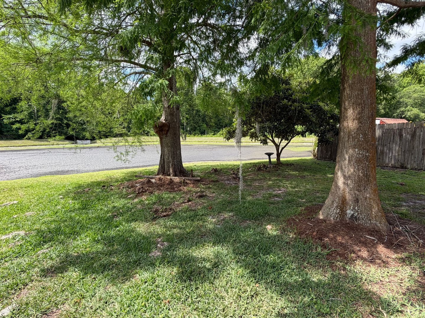 Gallery Image 20