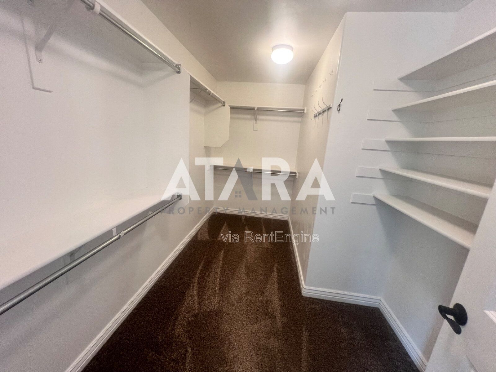 Gallery Image 43