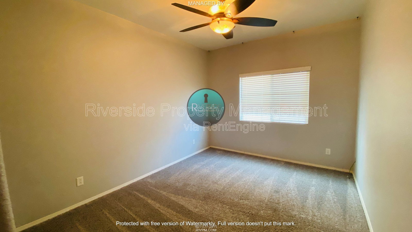 Gallery Image 14