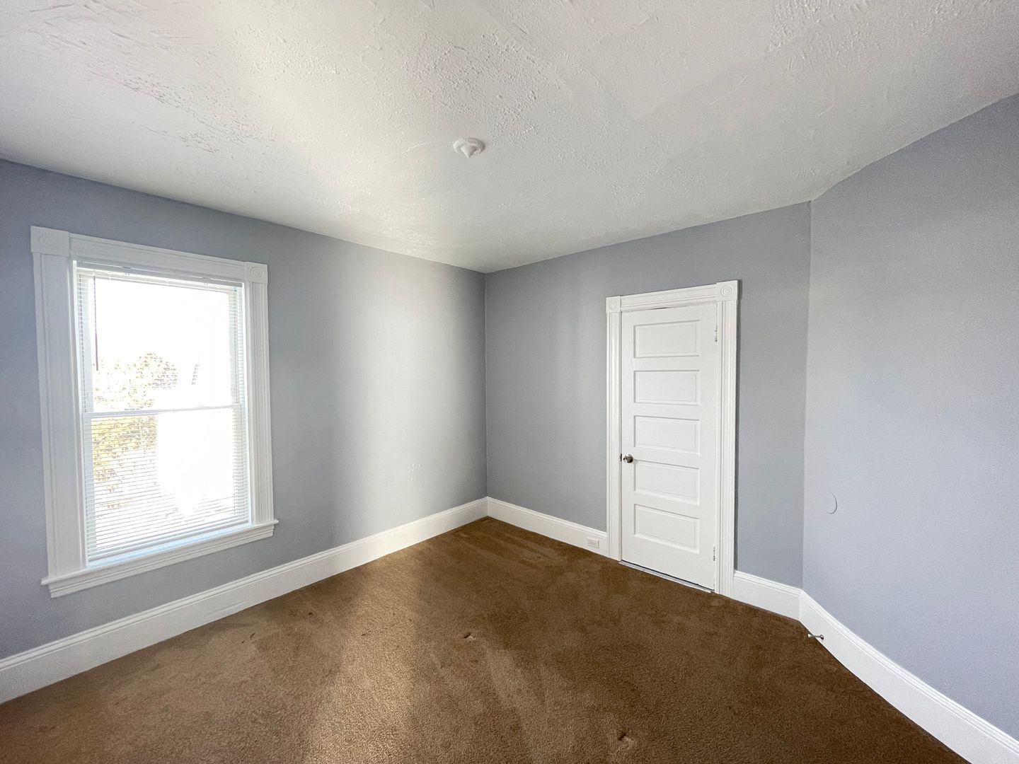 Gallery Image 18