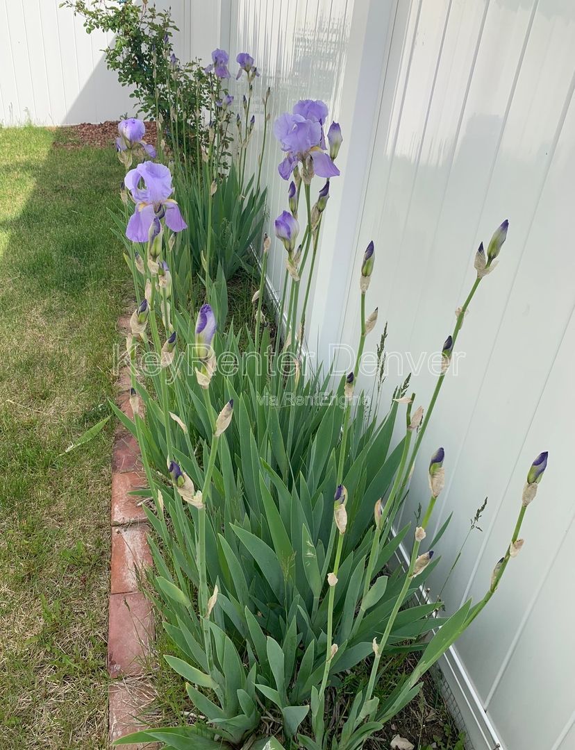 Gallery Image 16