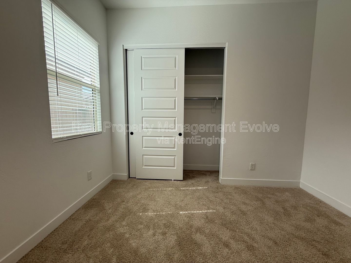 Gallery Image 36