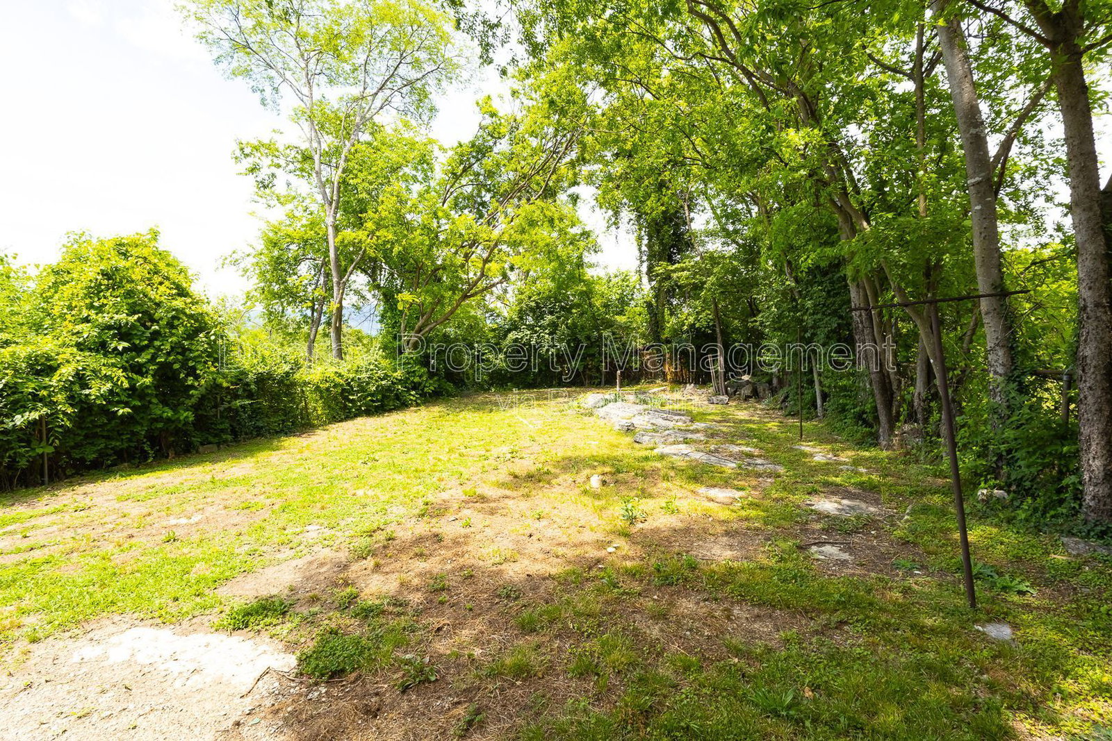 Gallery Image 13