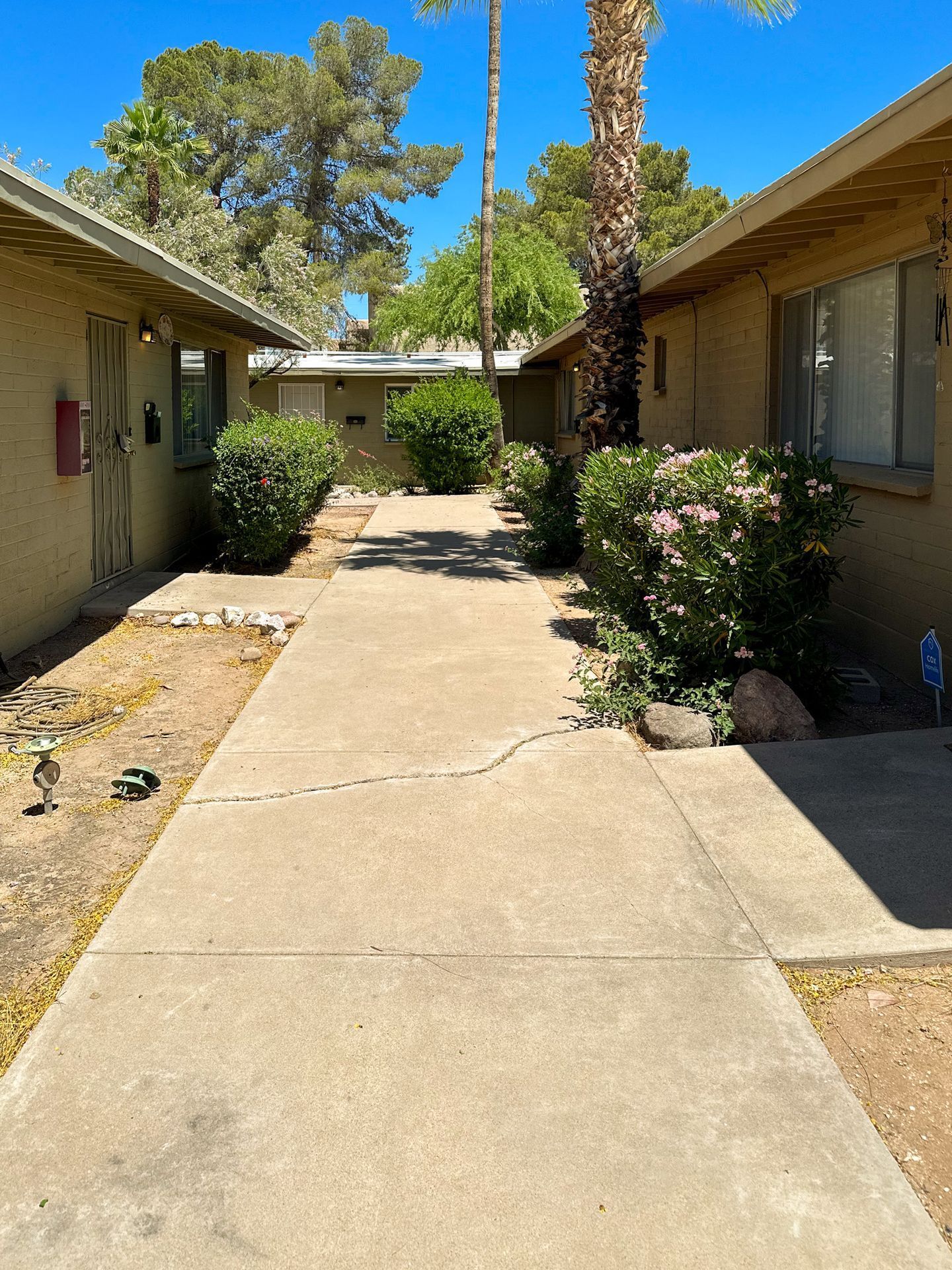 Gallery Image 14