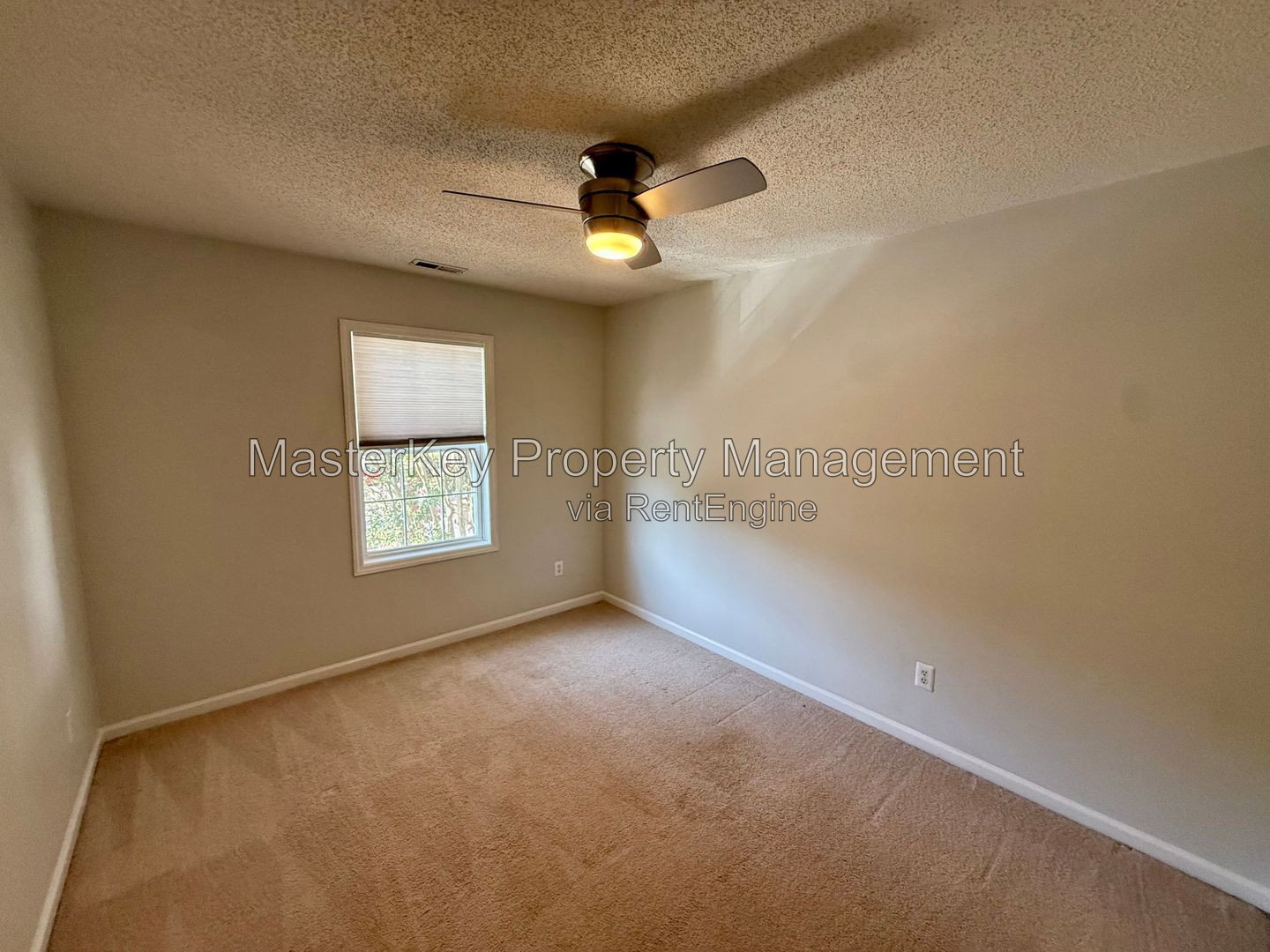 Gallery Image 21
