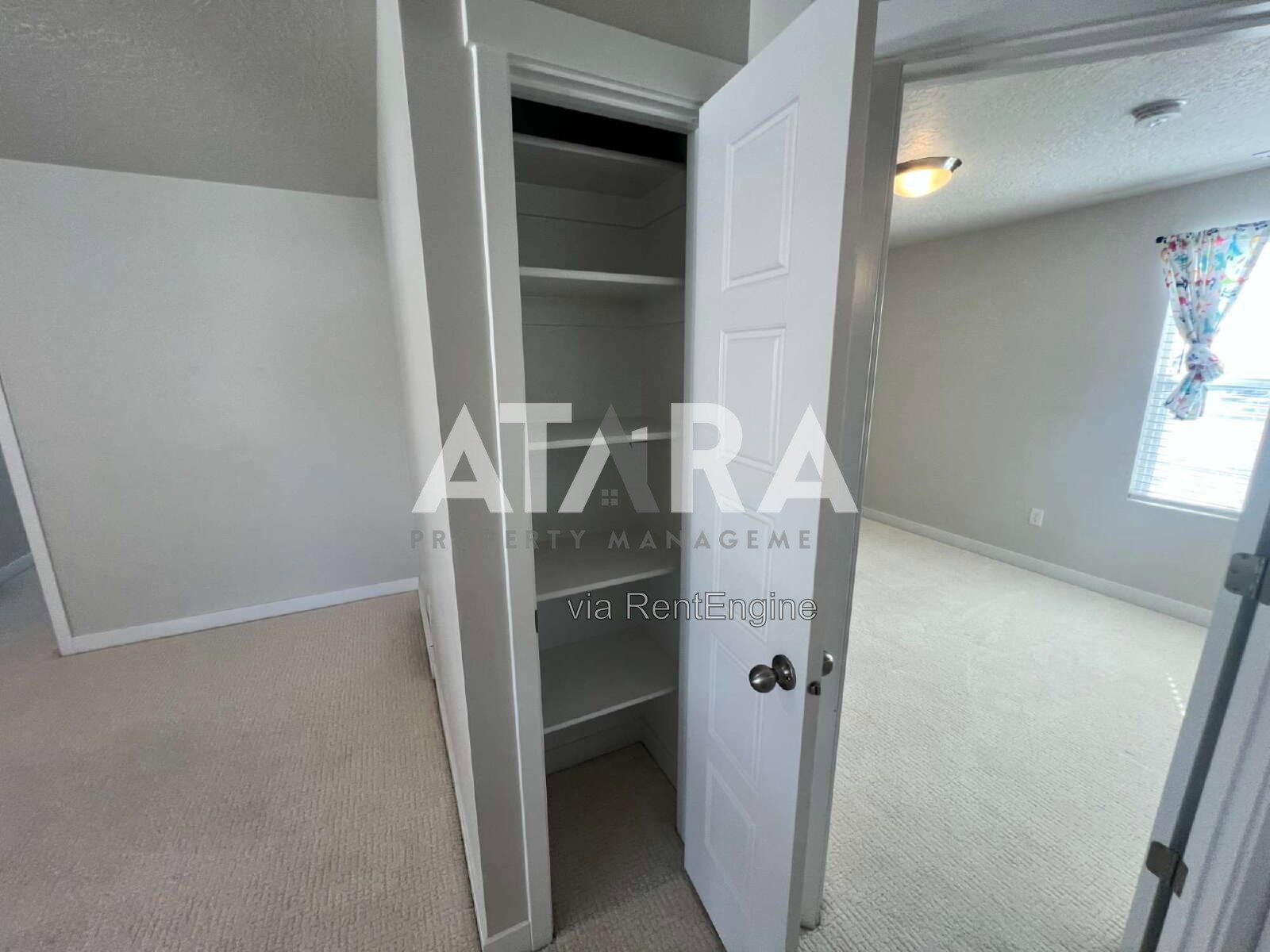 Gallery Image 44