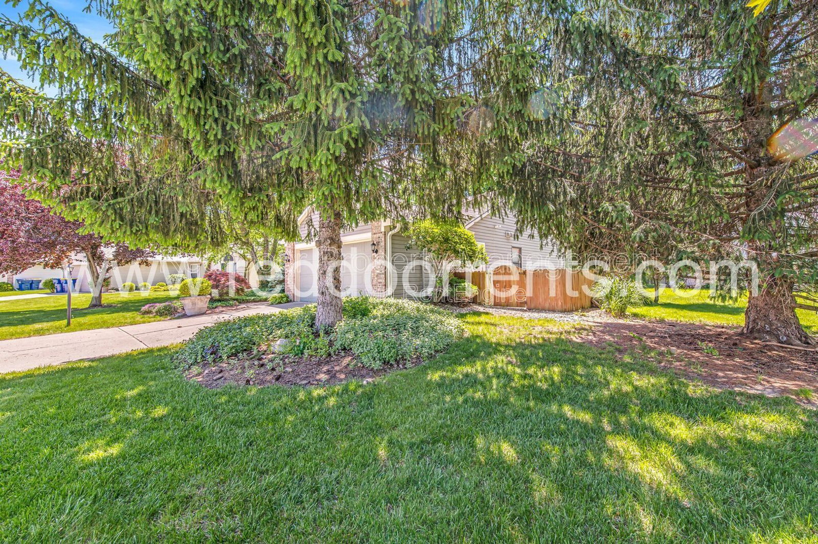 Gallery Image 23