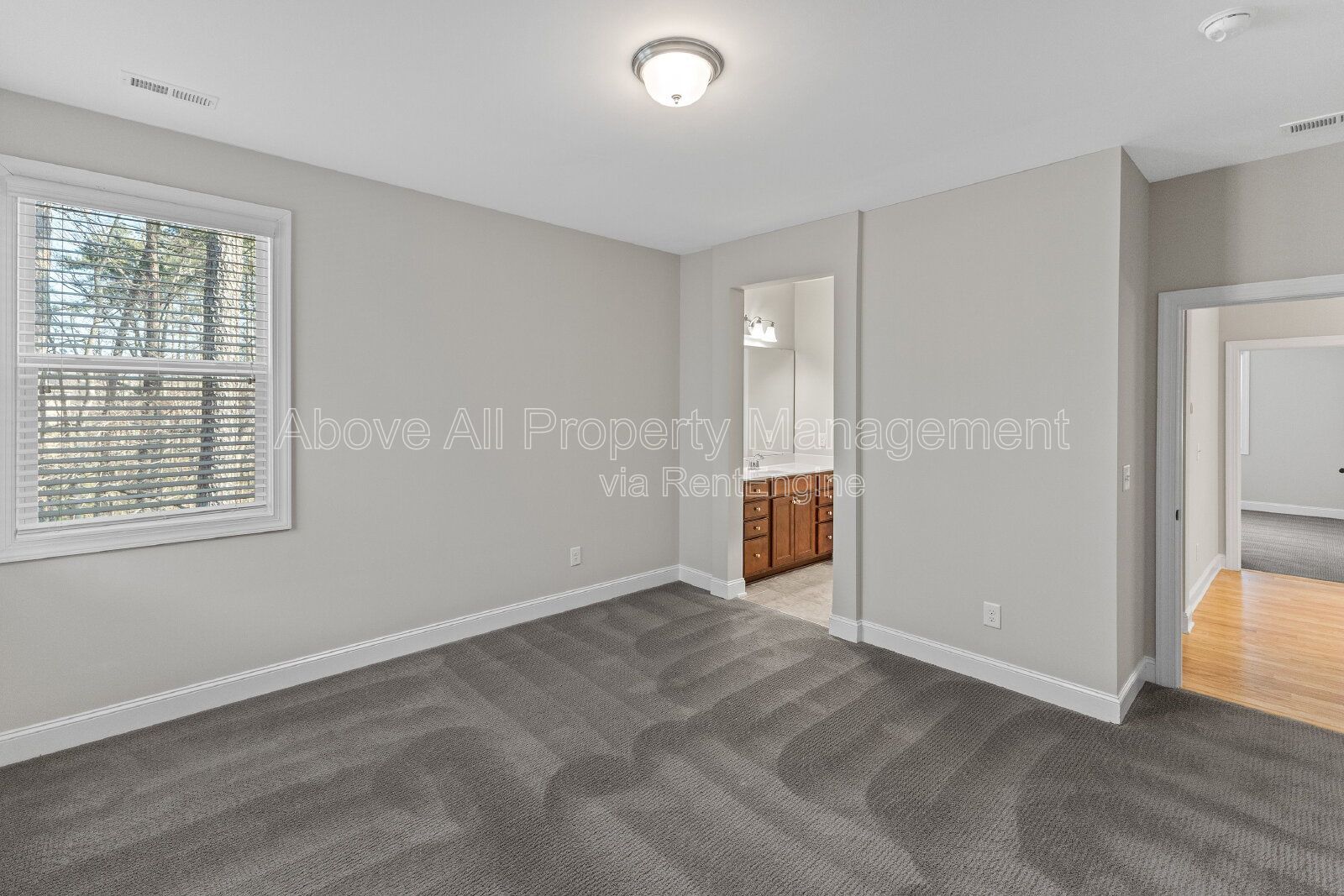 Gallery Image 45