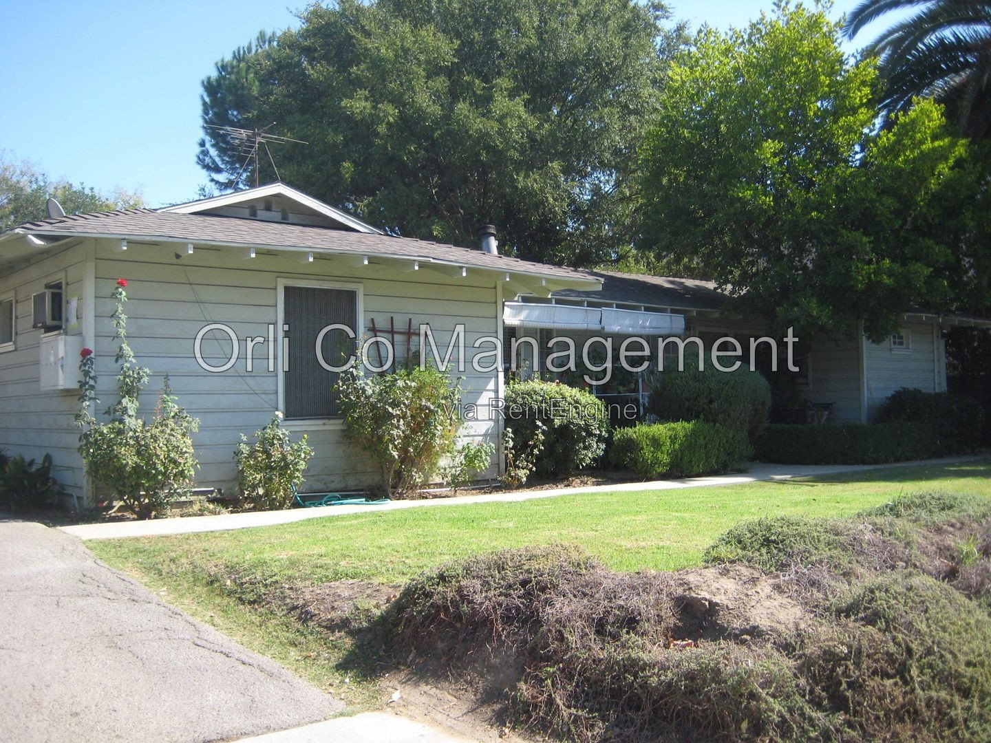 Gallery Image 0